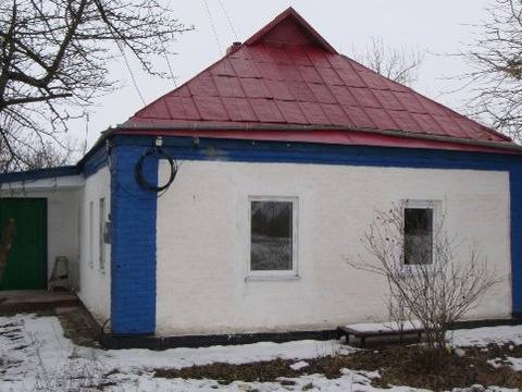 Продам будинок у с. Нечипорівка